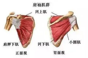如何利用智能裁判数据提升篮球训练效果_2